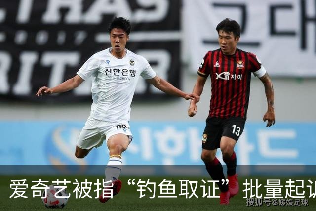 爱奇艺被指“钓鱼取证”批量起诉小企业